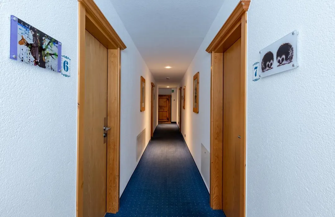 Sport Hotel Alpina-1